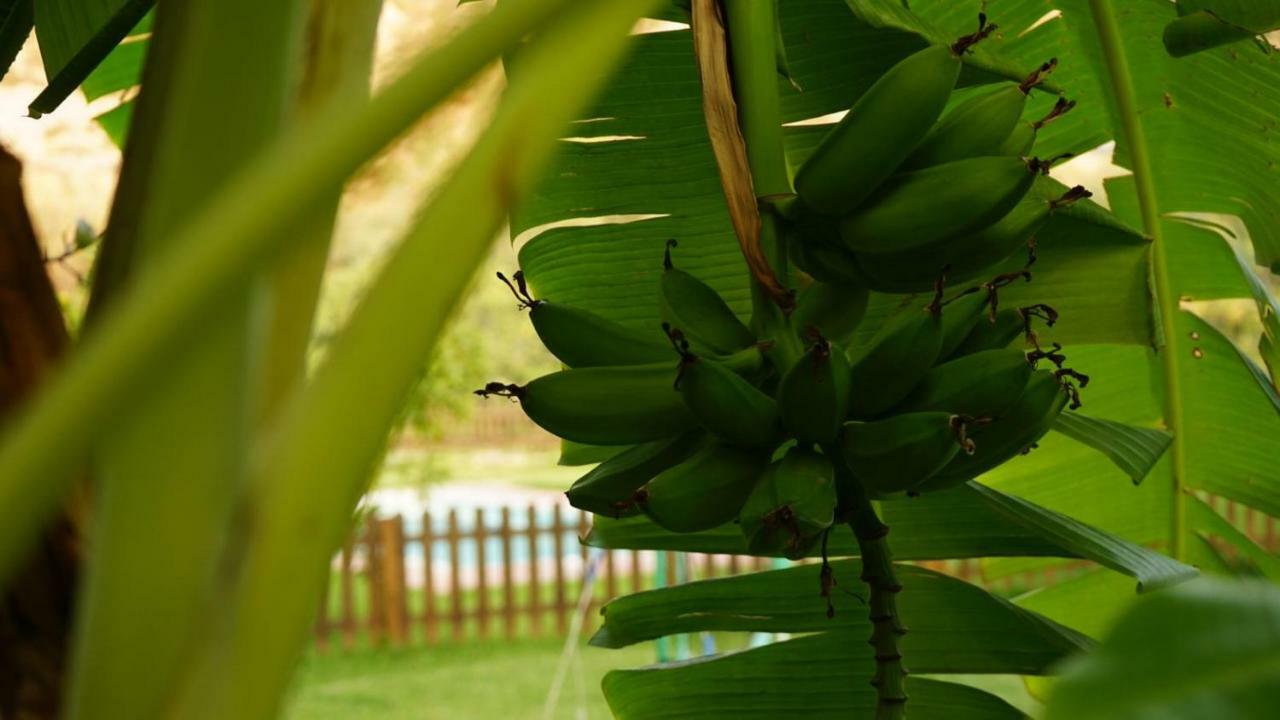 Tropical Studio Orgiva Esterno foto